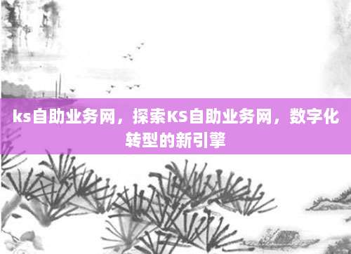 ks自助业务网，探索KS自助业务网，数字化转型的新引擎
