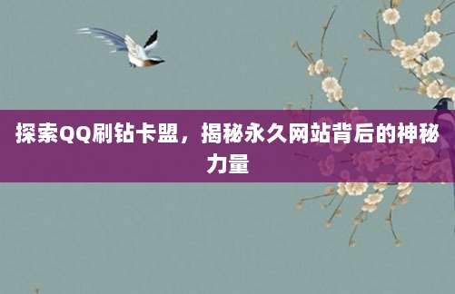 探索QQ刷钻卡盟，揭秘永久网站背后的神秘力量