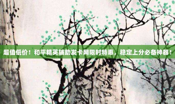 超值低价!和平精英辅助发卡网限时特惠,稳定上分必备神器!