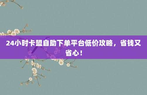 24小时卡盟自助下单平台低价攻略,省钱又省心!