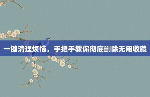 一键清理烦恼，手把手教你彻底删除无用收藏