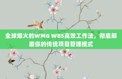 全球爆火的WMG WBS高效工作法，彻底颠覆你的传统项目管理模式