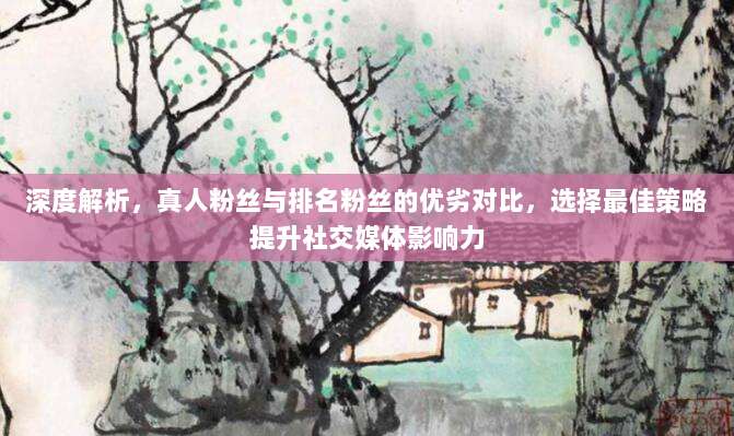 深度解析,真人粉丝与排名粉丝的优劣对比,选择最佳策略提升社交媒体影响力