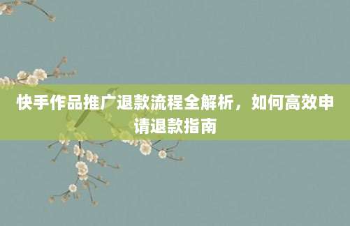 快手作品推广退款流程全解析,如何高效申请退款指南