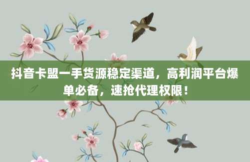 抖音卡盟一手货源稳定渠道，高利润平台爆单必备，速抢代理权限！