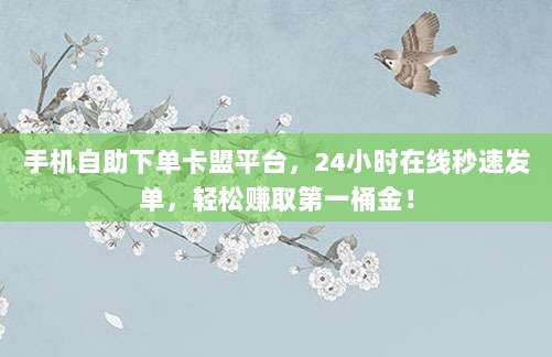 手机自助下单卡盟平台,24小时在线秒速发单,轻松赚取第一桶金!