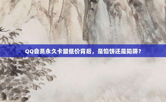 QQ会员永久卡盟低价背后,是馅饼还是陷阱?