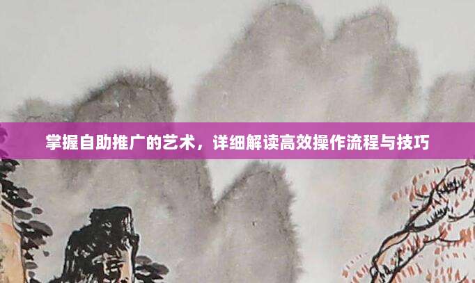 掌握自助推广的艺术，详细解读高效操作流程与技巧