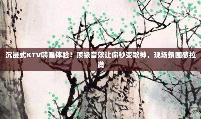 沉浸式KTV嗨唱体验！顶级音效让你秒变歌神，现场氛围感拉满