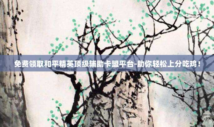 免费领取和平精英顶级辅助卡盟平台-助你轻松上分吃鸡！