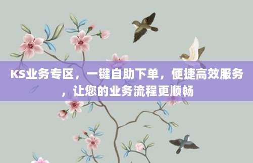 KS业务专区，一键自助下单，便捷高效服务，让您的业务流程更顺畅