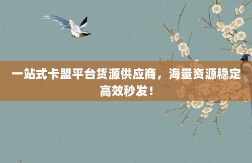 一站式卡盟平台货源供应商，海量资源稳定高效秒发！