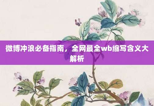 微博冲浪必备指南,全网最全wb缩写含义大解析