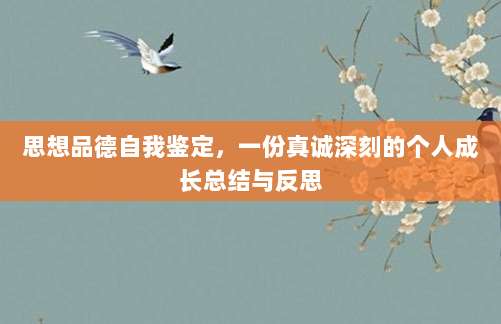 思想品德自我鉴定,一份真诚深刻的个人成长总结与反思