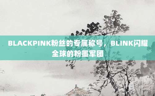 BLACKPINK粉丝的专属称号，BLINK闪耀全球的粉墨军团