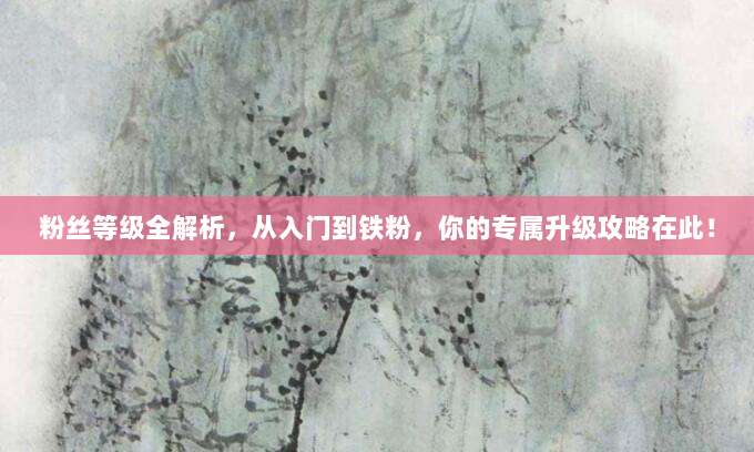 粉丝等级全解析，从入门到铁粉，你的专属升级攻略在此！