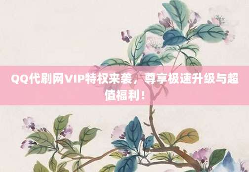 QQ代刷网VIP特权来袭,尊享极速升级与超值福利!