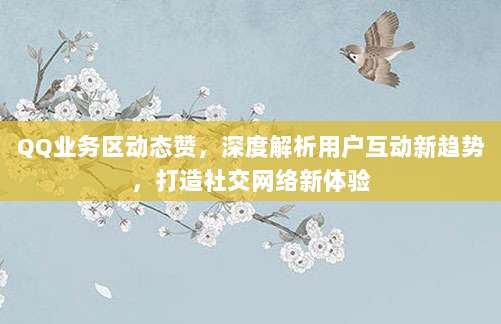 QQ业务区动态赞，深度解析用户互动新趋势，打造社交网络新体验