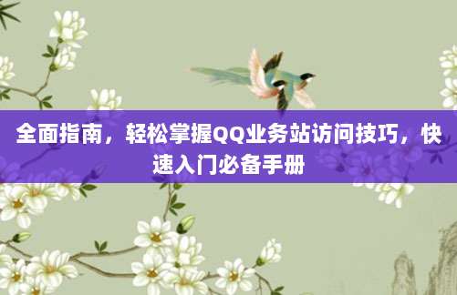 全面指南，轻松掌握QQ业务站访问技巧，快速入门必备手册