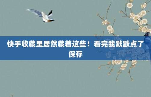 快手收藏里居然藏着这些！看完我默默点了保存
