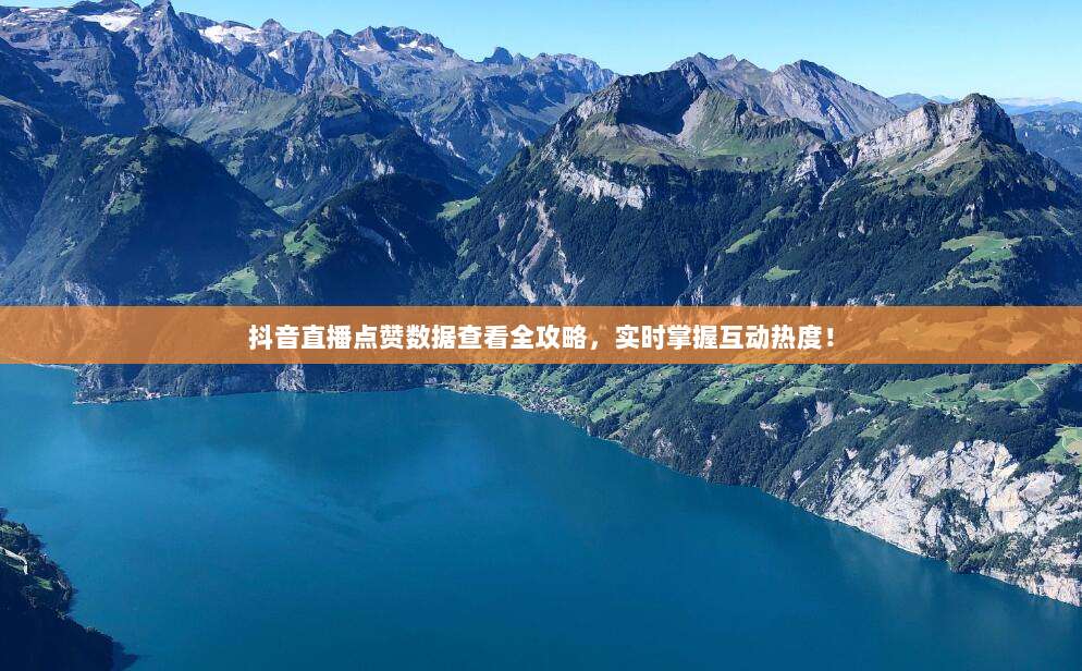 抖音直播点赞数据查看全攻略,实时掌握互动热度!