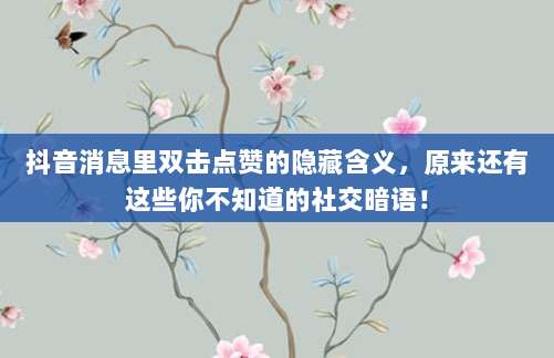抖音消息里双击点赞的隐藏含义，原来还有这些你不知道的社交暗语！