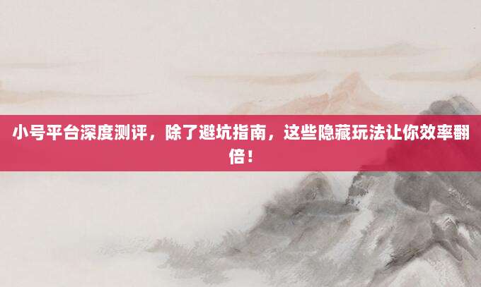 小号平台深度测评,除了避坑指南,这些隐藏玩法让你效率翻倍!