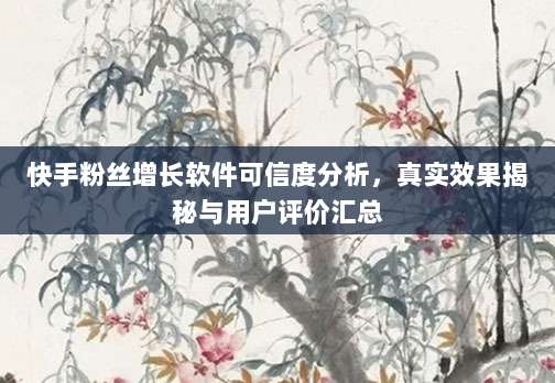 快手粉丝增长软件可信度分析,真实效果揭秘与用户评价汇总