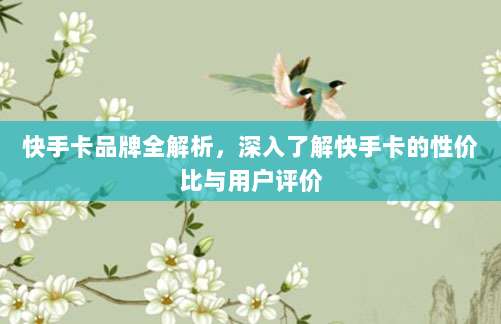 快手卡品牌全解析，深入了解快手卡的性价比与用户评价