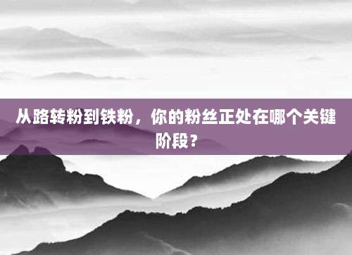 从路转粉到铁粉，你的粉丝正处在哪个关键阶段？