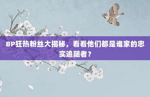 BP狂热粉丝大揭秘,看看他们都是谁家的忠实追随者?