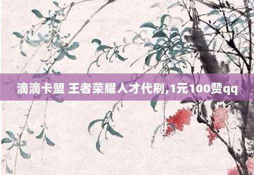 滴滴卡盟 王者荣耀人才代刷,1元100赞qq