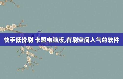 快手低价刷 卡盟电脑版,有刷空间人气的软件